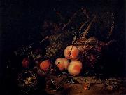 Rachel Ruysch Still-Life with Fruit and Insects USA oil painting artist